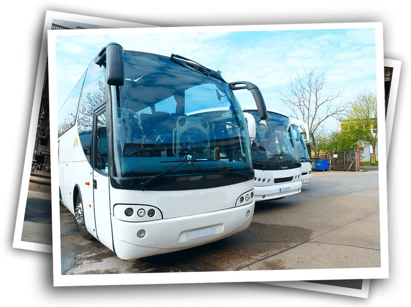 Modern School Bus Fleet in Bright Sunshine PNG