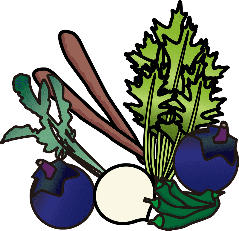 Colorful Harvest in the Vegetable Garden PNG