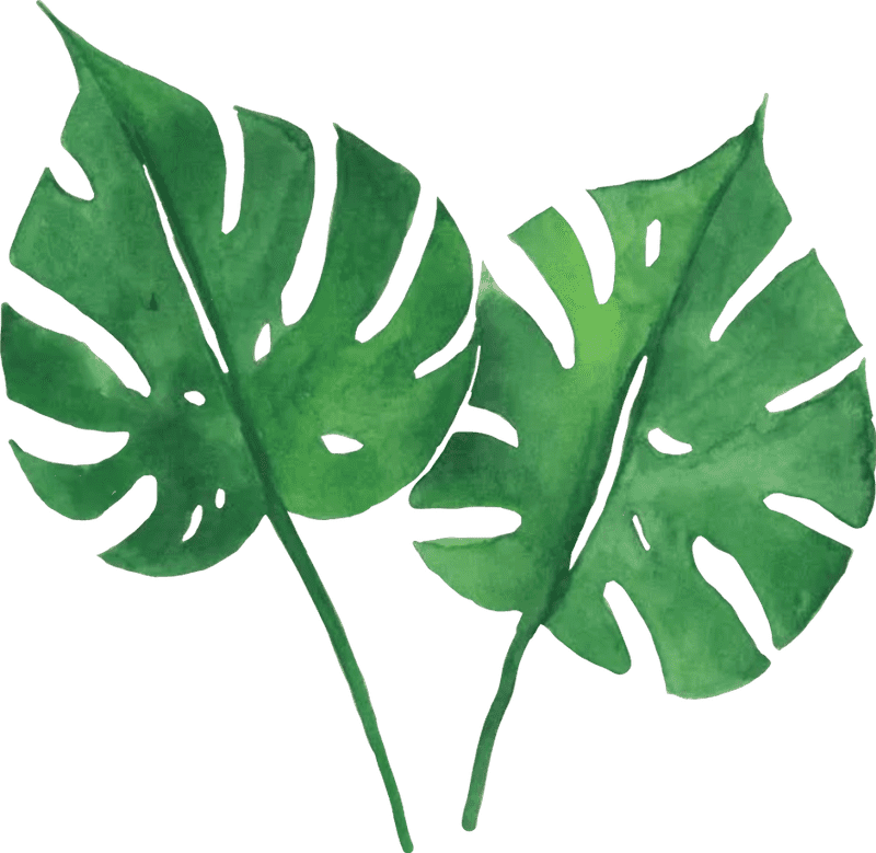 Radiant Green Leaf Elegance PNG