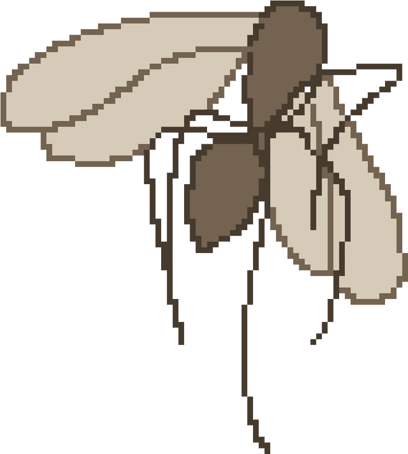 Insect Bliss The Gentle Winged Wanderer PNG