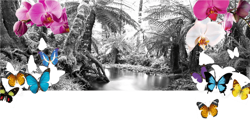 Whispers of the Orchid in a Dreamy Forest PNG