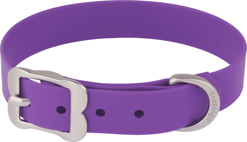 Stylish Purple Pet Collar for Your Furry Friend PNG