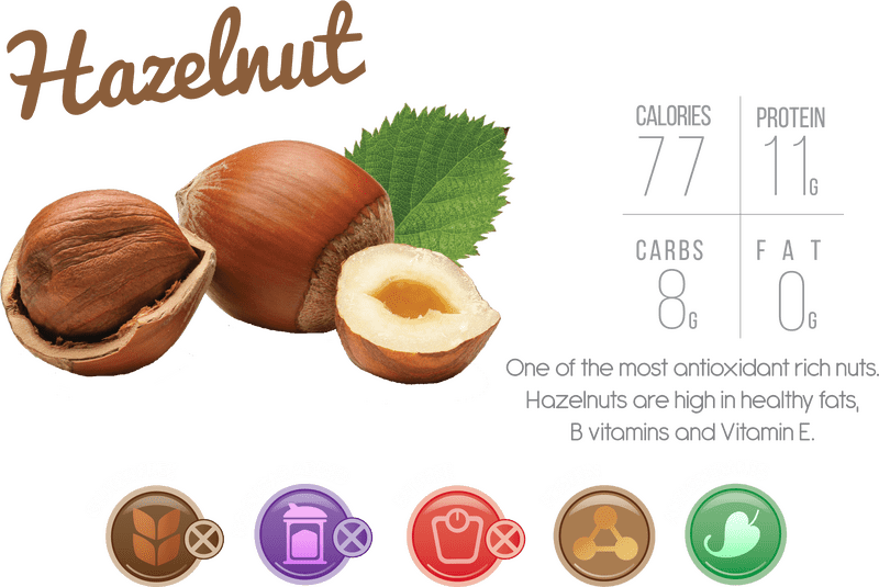 Hazelnut Delight Nature's Antioxidant Powerhouse PNG