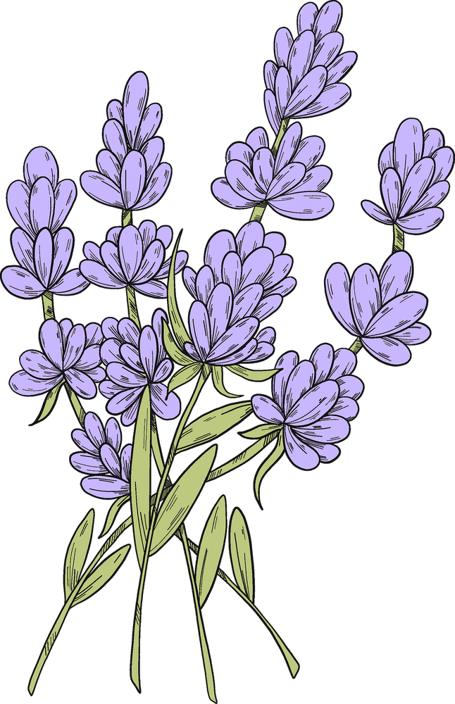 Serenity in a Lavender Field Bouquet PNG