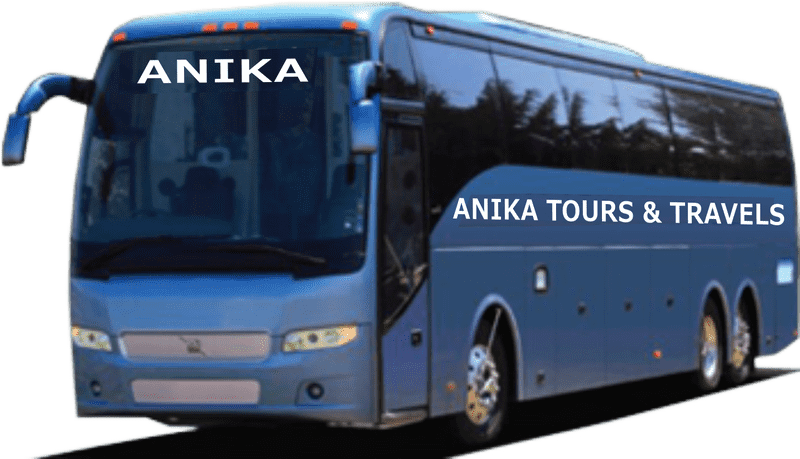 Anika's School Bus Adventures and Travels PNG