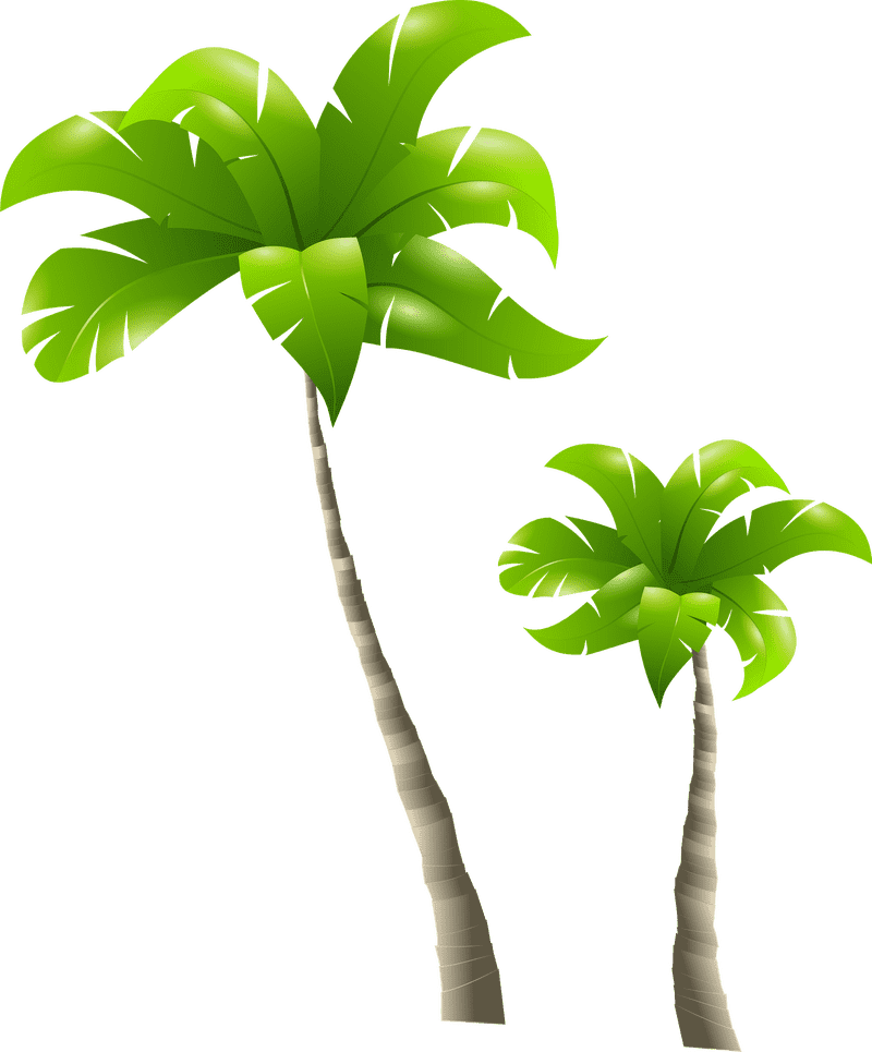 Tropical Paradise The Majestic Palm Tree Duo PNG