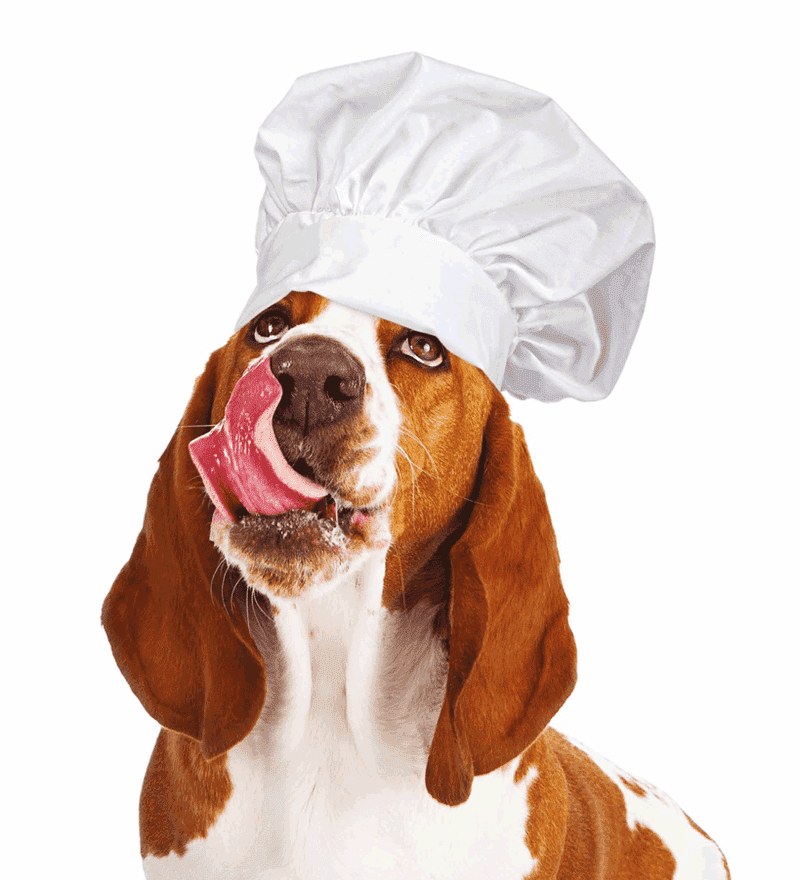 Chef Dog Ready to Cook Delicious Treats PNG