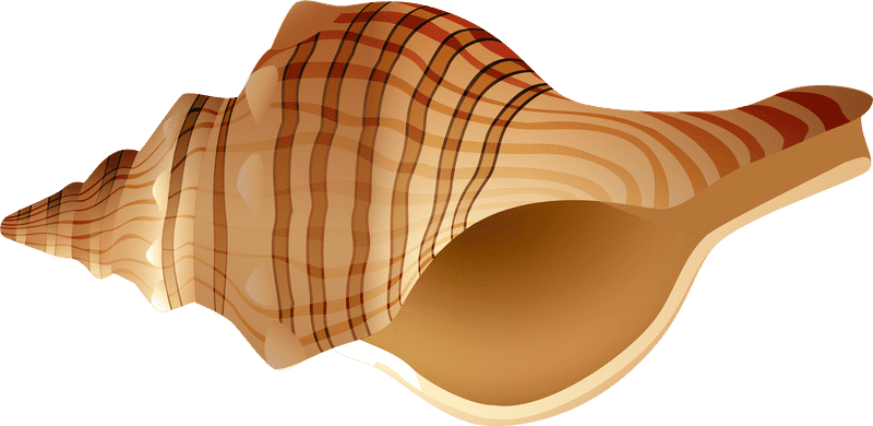 Rap Rhythms from the Shells of Sound PNG