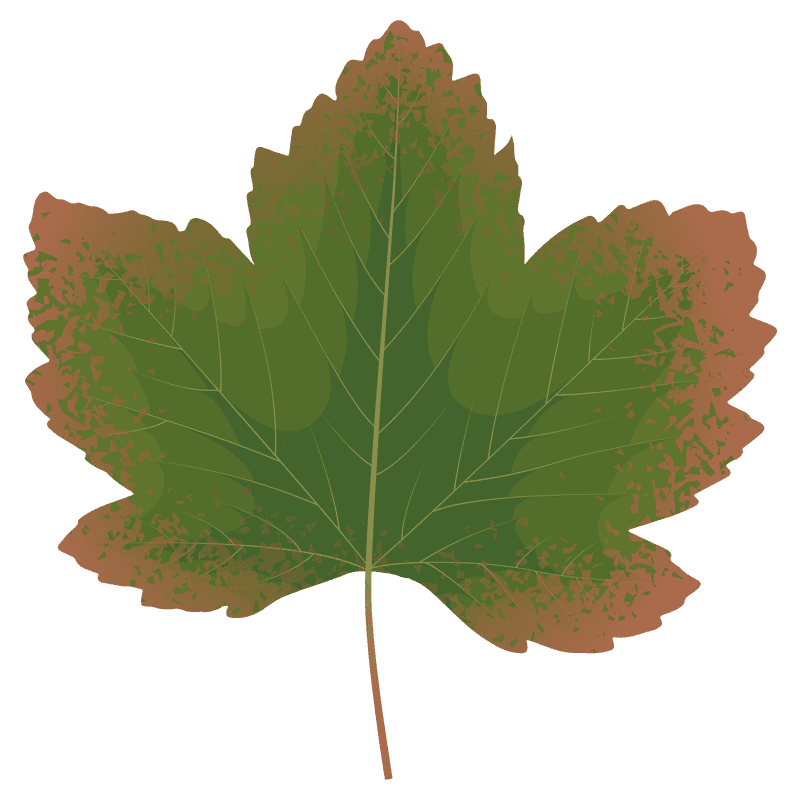 Effortless Clean The Ultimate Leaf Blower Solution PNG