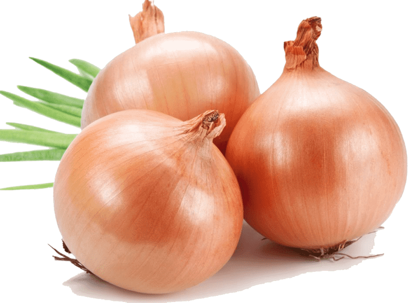 Fresh Ingredients for Delicious Onion Rings PNG