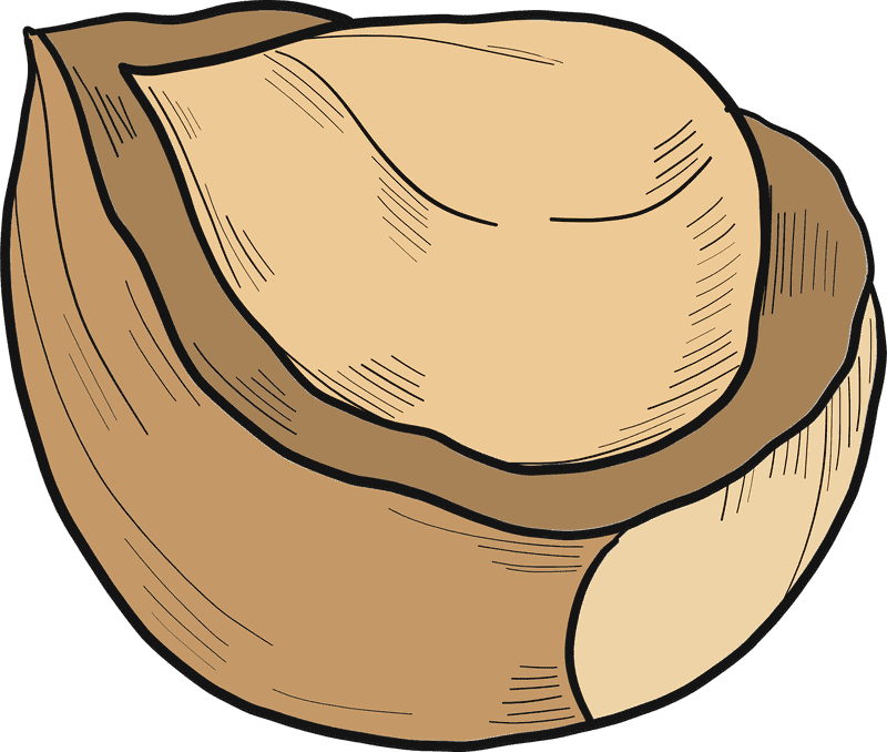 Deliciously Rich Hazelnut Delight PNG