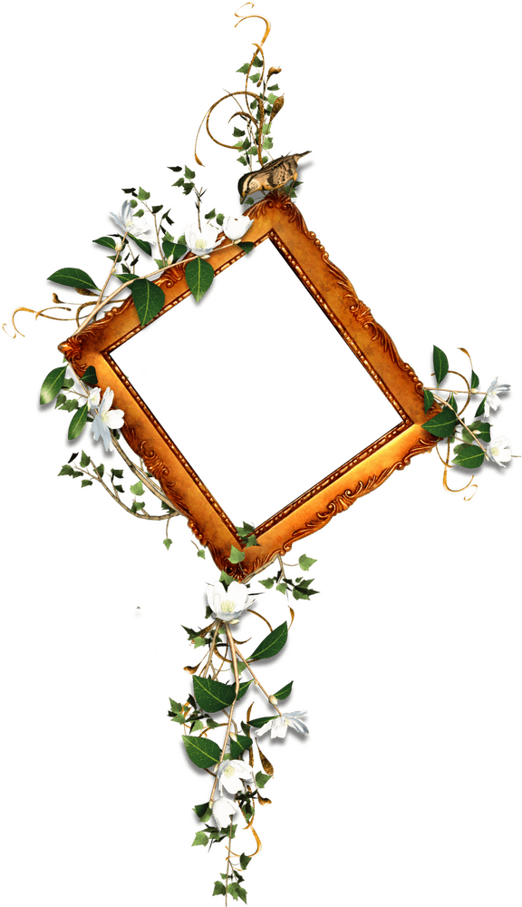 Nature's Elegance Picture Frame Display PNG