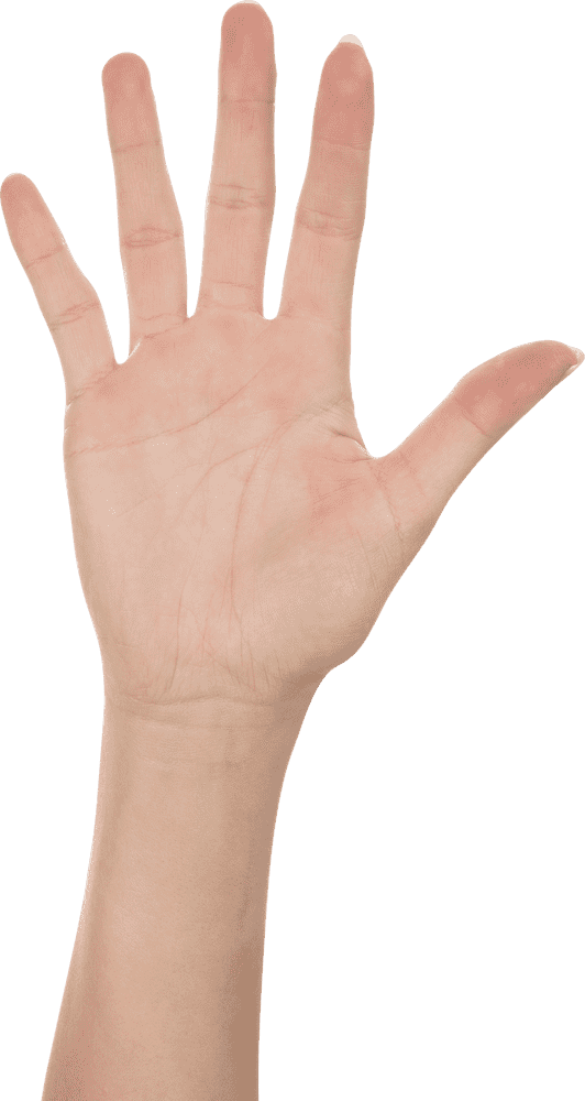 Open Hand Reaching for Possibilities PNG