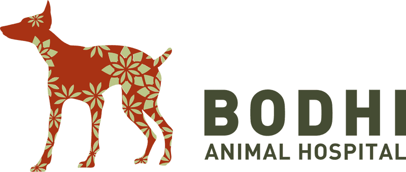 Bodhi Animal Hospital Compassionate Care for Pets PNG
