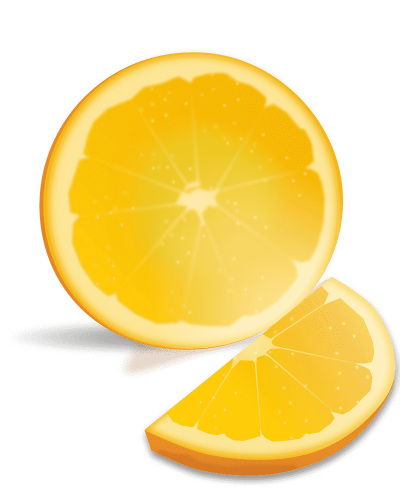 Bright and Juicy Citrus Slice Delight PNG