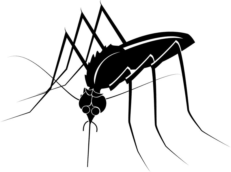 Effective Mosquito Repellent for Outdoor Adventures PNG