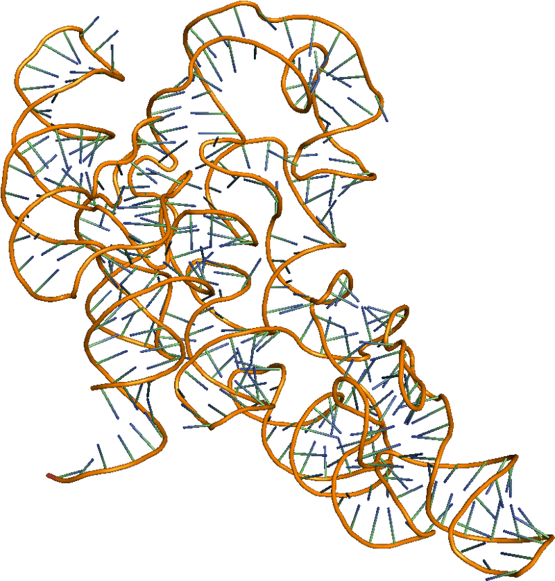 Intricate Molecular Structure of Protein Molecule PNG