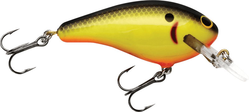 Vibrant Fishing Lure for Catching Success PNG
