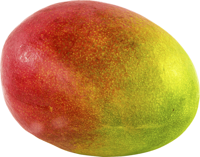 Colorful Tropical Fruit Delight PNG