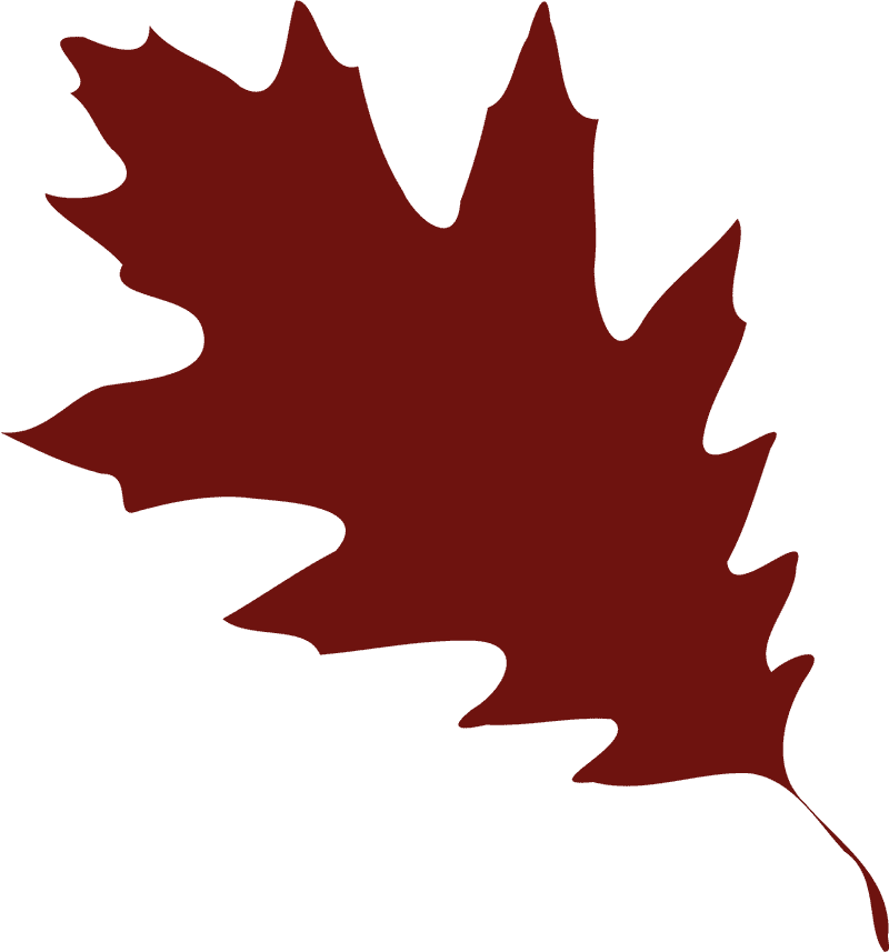 Crimson Autumn Leaf Elegance PNG