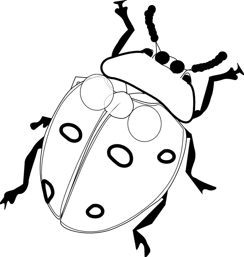 Enchanting Ladybug in a Whimsical Garden PNG