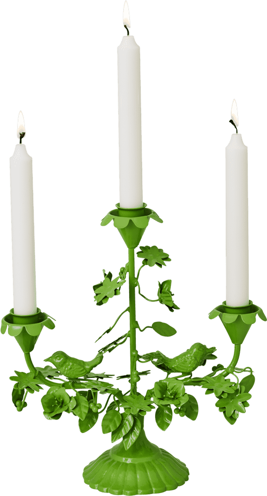 Elegant Green Floral Candle Holder with Birds PNG