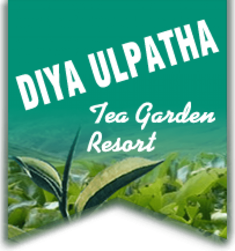 Serene Tea Cup Garden Retreat PNG