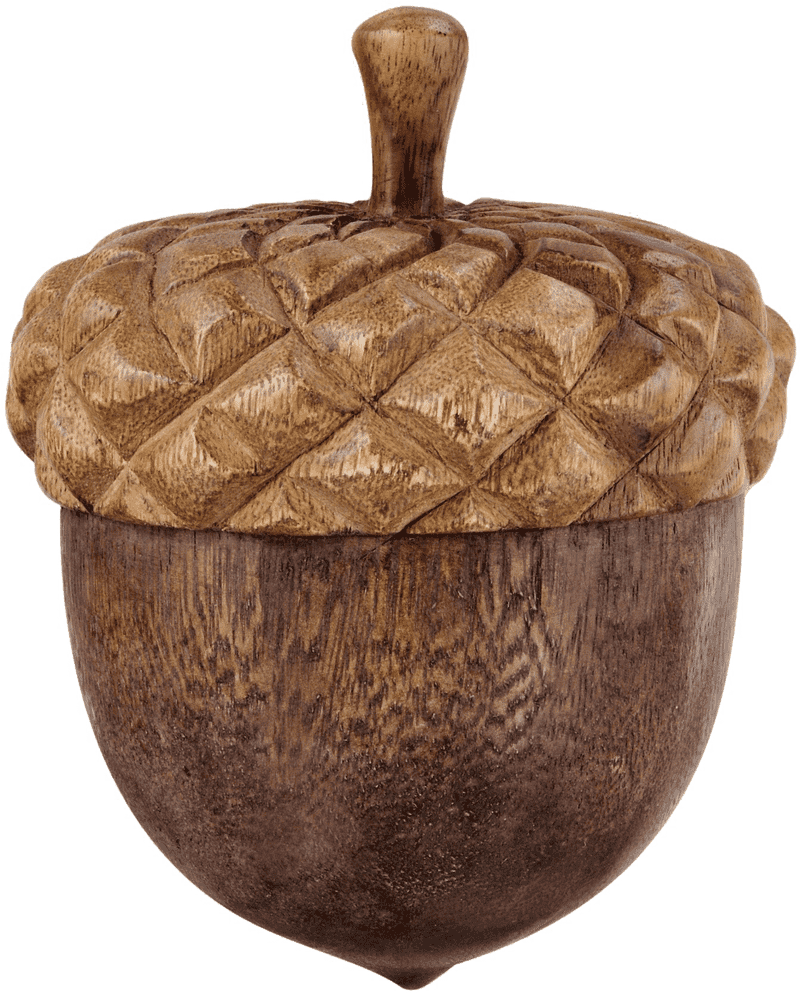 Whimsical Wooden Acorn Treasure Box PNG