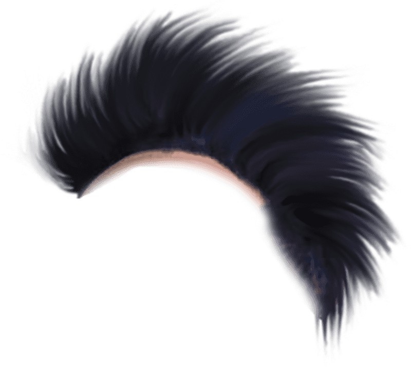 Hair Dryer with Unique Style Enhancement PNG