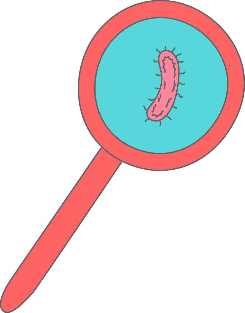 Investigating the World of Bacteria Under a Microscope PNG
