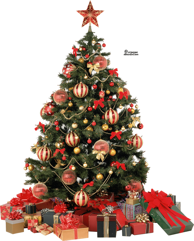 Festive Tradition The Joyful Christmas Tree PNG