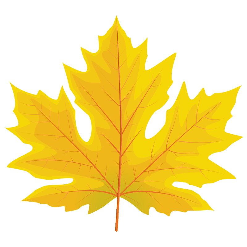Golden Autumn Leaf Delight PNG