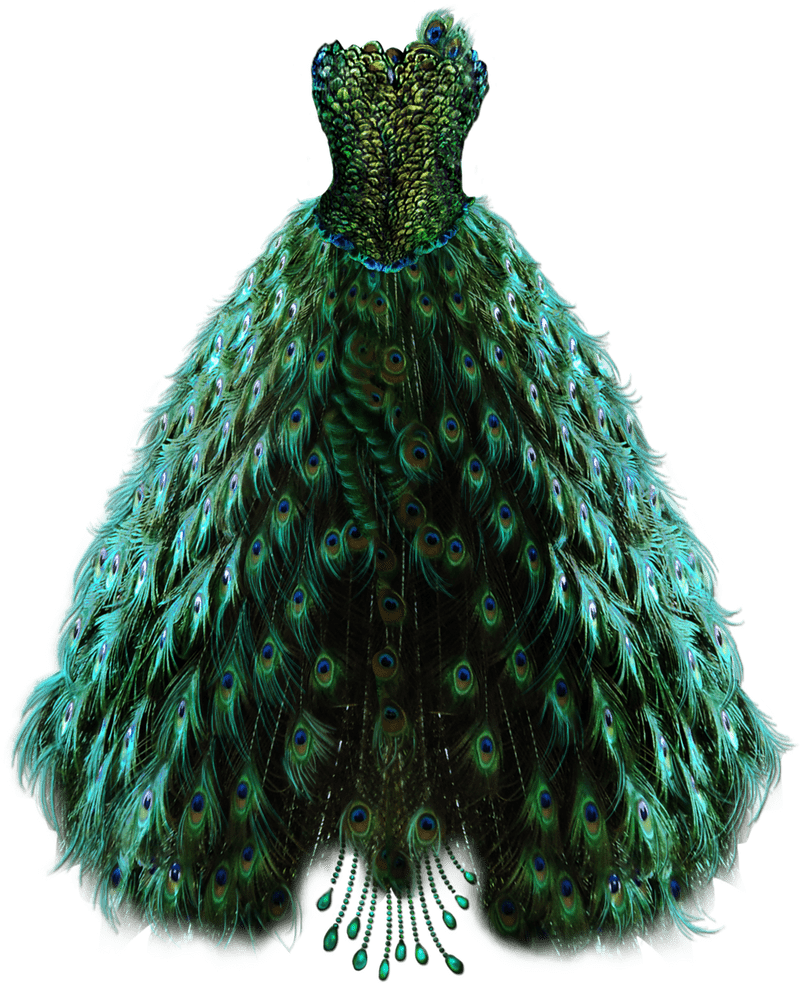 Elegance of the Peacock Tail Dress PNG