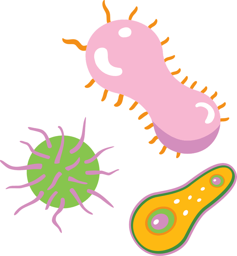 Colorful Bacteria in Vibrant Shapes and Forms PNG