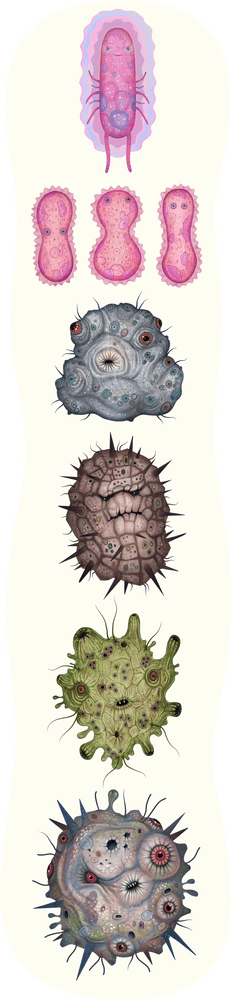 Bacteria A Colorful Microbial World Unveiled PNG