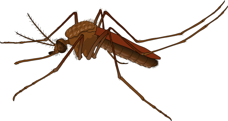 Ultimate Mosquito Repellent for Peaceful Nights PNG