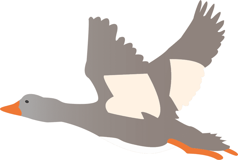 Flying Rubber Duck Adventure PNG