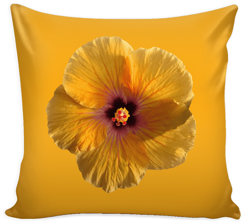 Vibrant Floral Pillow Cushion Bliss PNG
