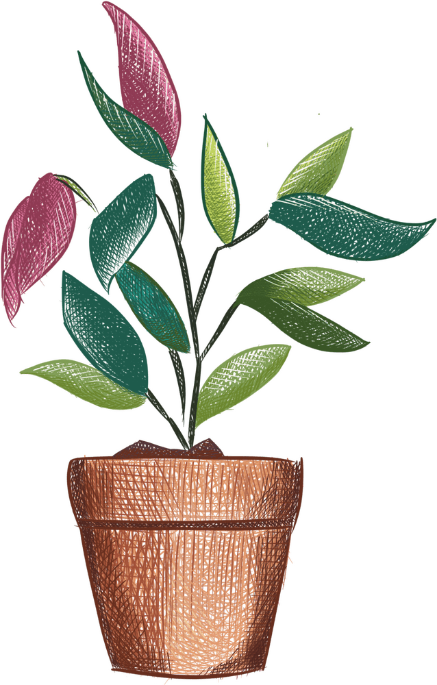 Vibrant Indoor Plant in a Rustic Pot PNG
