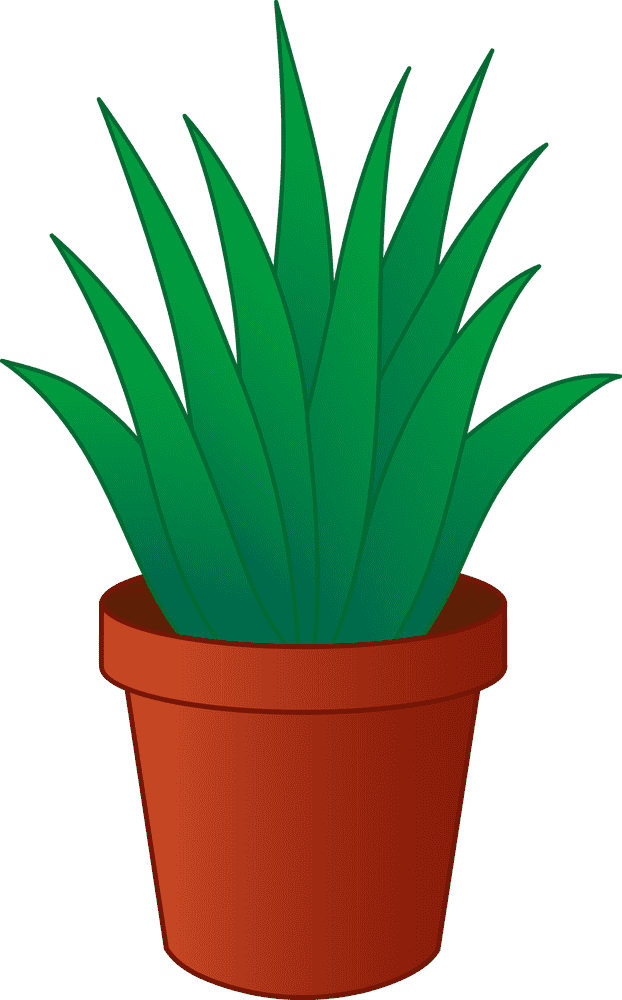 Lush Green Indoor Plant in a Terracotta Pot PNG