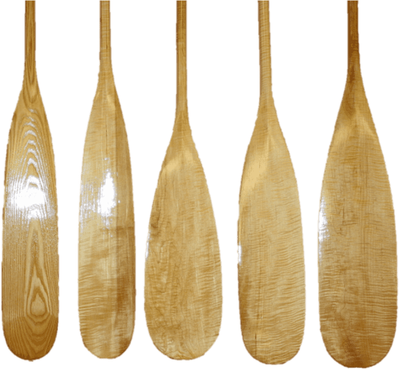 Canoe Paddle Display Craftsmanship and Variety PNG