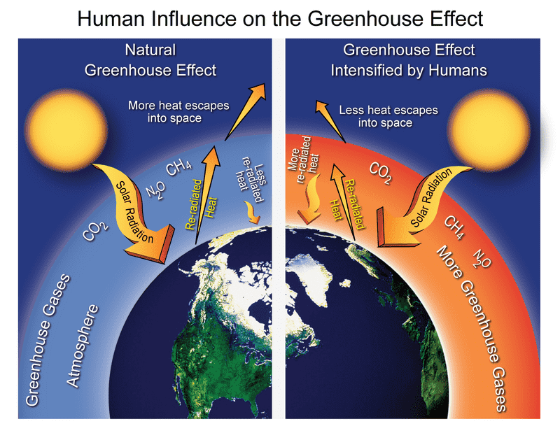 Greenhouse Dynamics Human Impact on Climate PNG