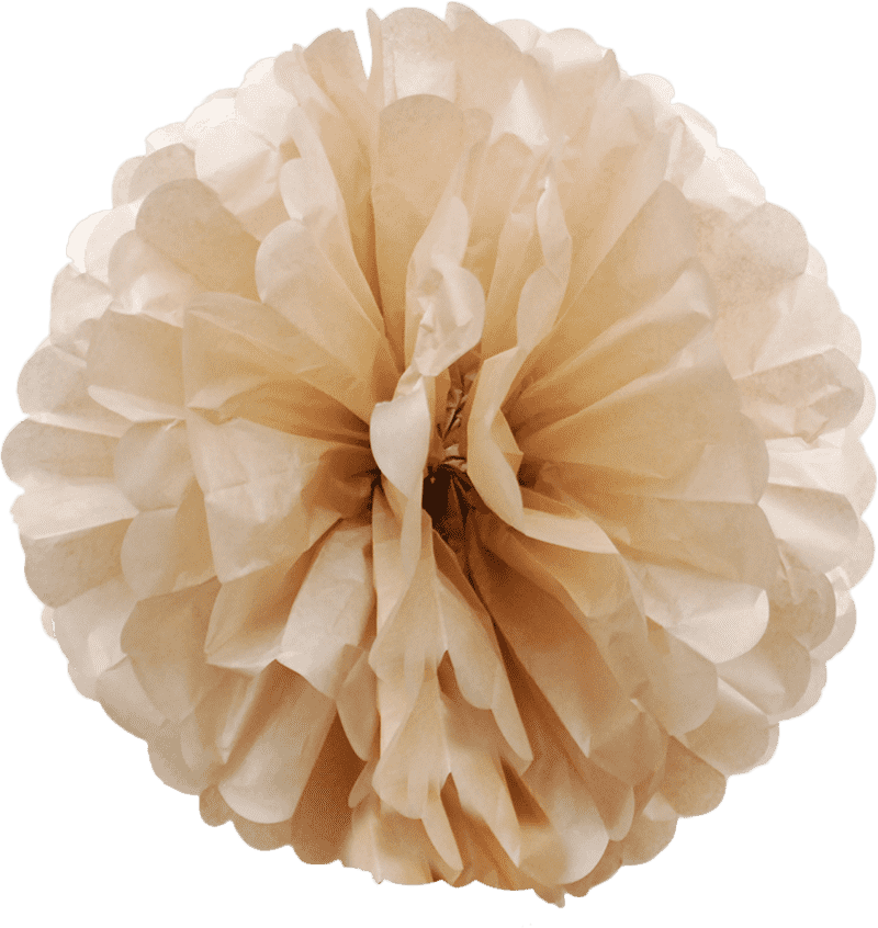 Elegant Paper Plane in Full Bloom PNG