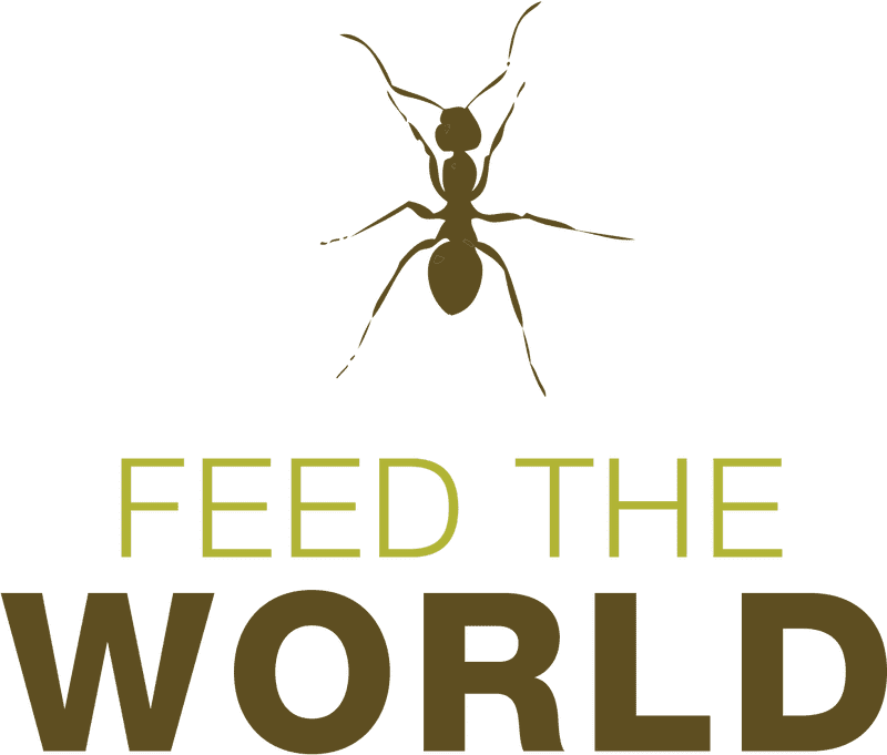 Insect Kingdom A World of Wonders PNG