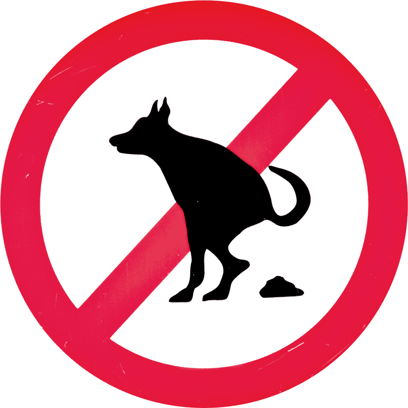 Poop Patrol Keep Our Streets Clean! PNG