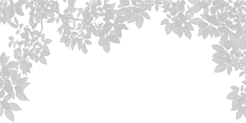 Effortless Cleanup with a Leaf Blower PNG