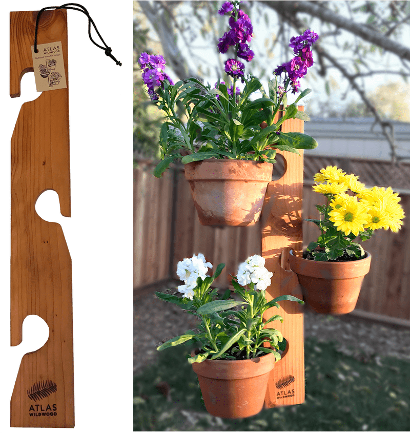 Vertical Indoor Plant Display with Colorful Blooms PNG
