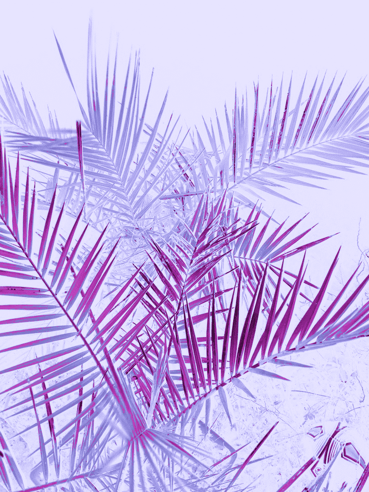 Whimsical Tropics of Purple Grapes PNG