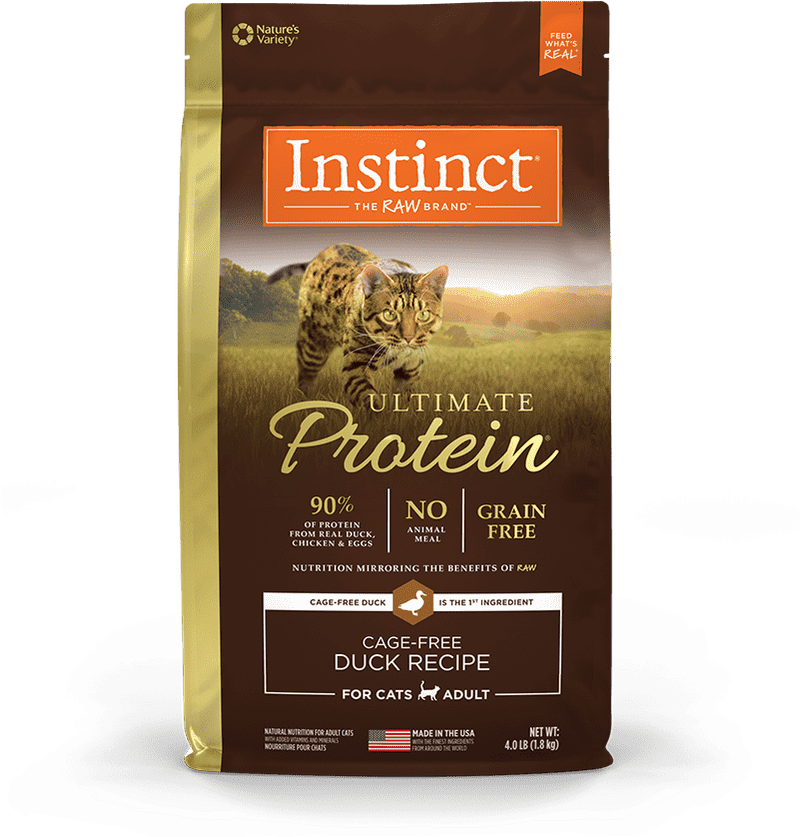 Protein Shaker Ultimate Nutritional Boost for Active Lifestyles PNG