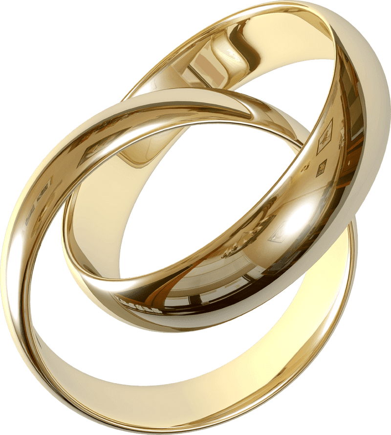 Elegant Intertwined Jewelry Rings PNG